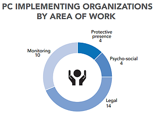 Chart: Protection Cluster implementing organizations by area of work