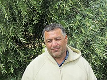 Tayseer ‘Amarneh, farmer, Akkaba, Tulkarm, February, 2014. ©  Photo by OCHA.