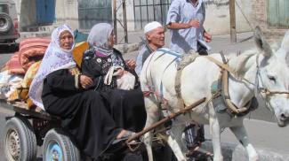 Internally Displaced Persons, Gaza, 2014. Photo by OCHA