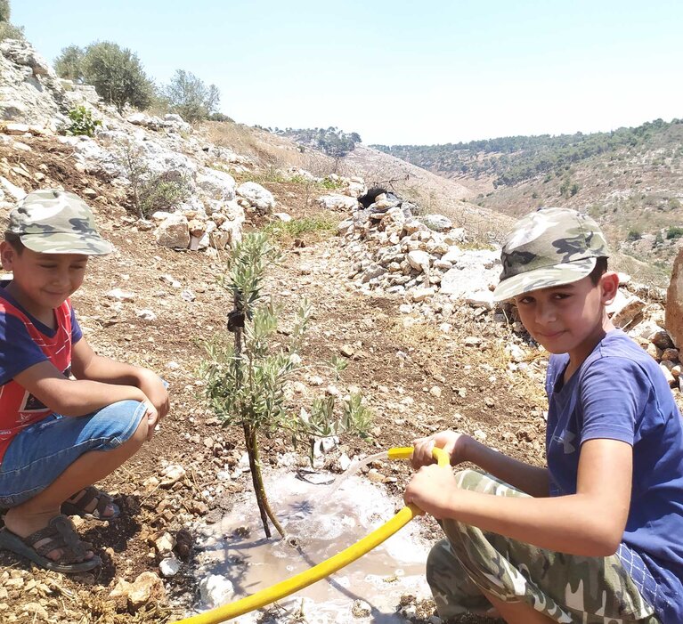 Tarek and Malek Sabbah watering an olive sapling using water from a newly constructed cistern in their family’s orchard, Qaffin, Northern West Bank. Picture by Première Urgence Internationale, 2021