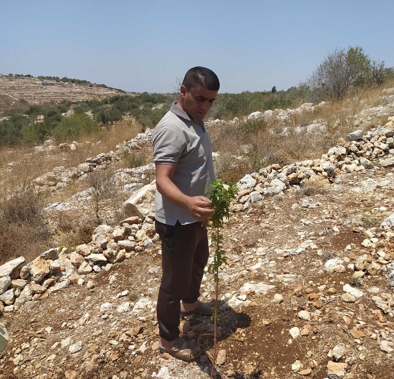 Ali Sabbah examining an almond sapling that he planted in his orchard, relying on a newly installed water cistern. Picture by Première Urgence Internationale, 2021