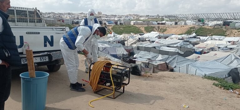 Aid workers applying pest-control measures at a displacement site in Gaza. Photo by UNRWA