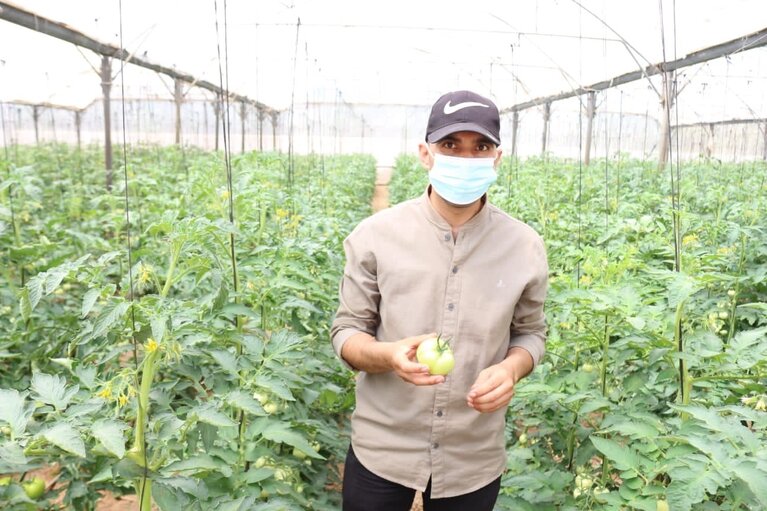 Mohammed in his tomatoes field. Photo by OCHA, July 2021.