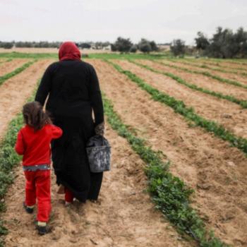 Woman in her peas field on her land in Shokat as Sufi, Gaza Strip. Photo by Wissam Sameer Mahmoud Nassar for ACTED oPt, September 2017