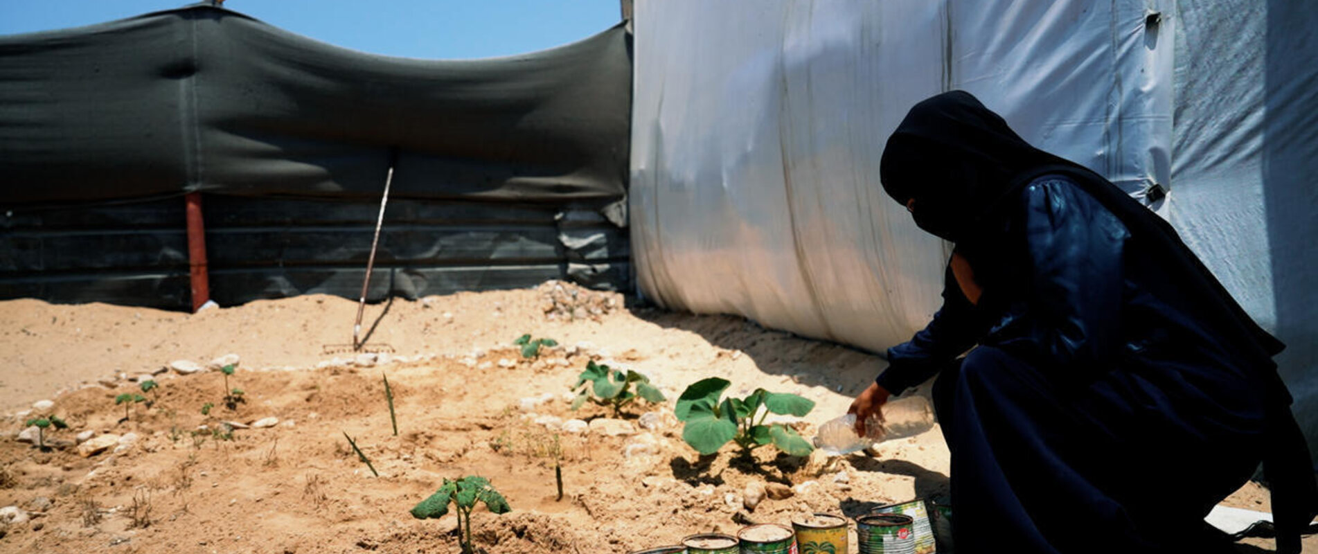 Amina, a displaced mother of three, watering her plants outside a tent where they take shelter. Photo by Save the Children.