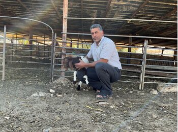 Suliman Zaid, from Ras 'Ein al 'Auja, with an injured goat in front of his animal shelter, where Israeli settlers stole over 1,000 livestock from the Palestinian community. Photo by OCHA